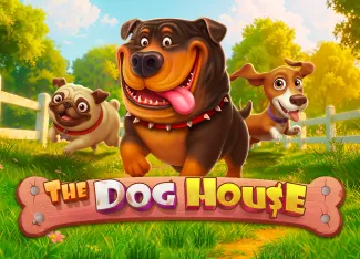 The Dog House - STAYSLOT168